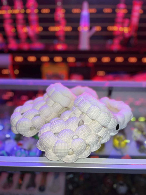 Pantoufles Slippers